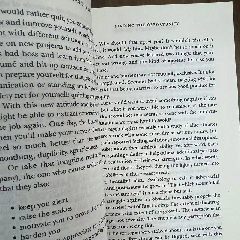 The Obstacle Is The Way The Ancient Art of Turning Adversity To Advantage By Ryan Holiday in English